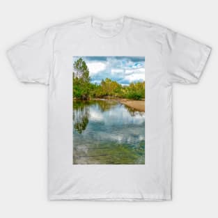 Shut-Ins State Park Study 7 T-Shirt